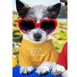 Pet Statement Tee - Cute but Psycho !